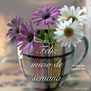 Feliz Inicio De Semana Grupo Para Whatsapp Celular