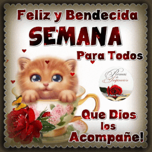 Feliz inicio de semana mi amor frases para WhatsApp celular
