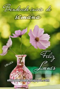 Feliz Inicio De Semana Mi Amor Para Whatsapp Celular