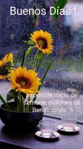 Feliz Inicio De Semana Para Todos Para Descargar