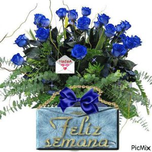 Feliz Inicio De Semana Pinterest