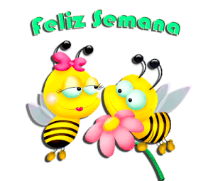 Feliz inicio semana