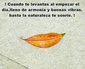 Feliz lunes amor para descargar gratis