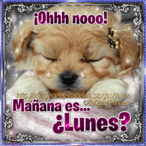 Feliz lunes amor para WhatsApp gratis