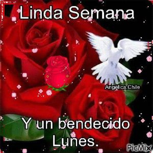 Feliz Lunes Buen Dia