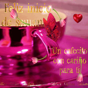 Feliz lunes buenas tardes