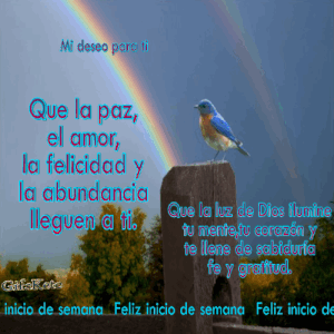 Feliz lunes buenos días para WhatsApp gratis