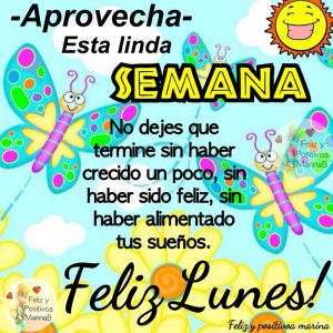 Feliz lunes chistoso para Facebook gratis para celular