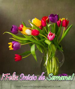 Feliz Lunes Mi Amor para celular