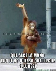 Feliz Lunes Mi Vida Para Descargar Gratis