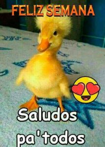 Feliz Lunes Para Todos Para Descargar Gratis