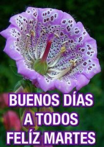 Feliz Martes 13 Para Descargar Gratis