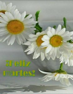 Feliz Martes 13 Para Whatsapp Gratis para celular