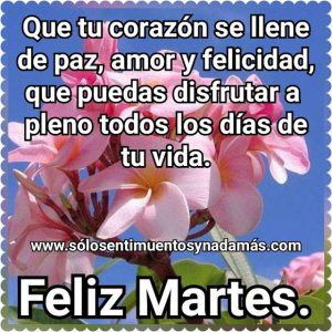 Feliz Martes 2019 Para Descargar Gratis para celular