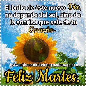 Feliz Martes 2019 Para Whatsapp Gratis para celular