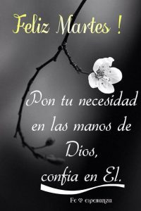 Feliz Martes 2019 para celular