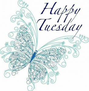 Feliz Martes A Todos Para Descargar Gratis para celular