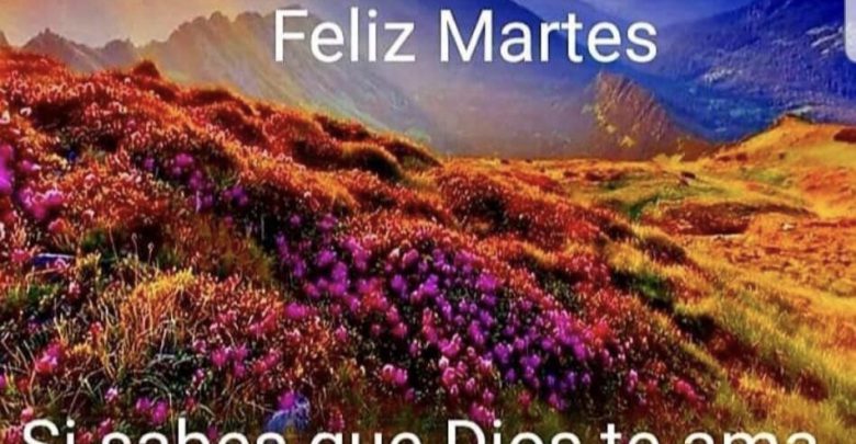 Feliz Martes Amiga – Imágenes de bonitas para descargar gratis