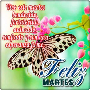 Feliz Martes Amiga Para Whatsapp Gratis para celular
