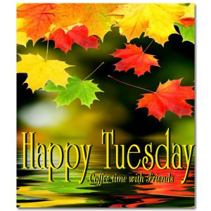 Feliz Martes Amor Para Whatsapp Gratis