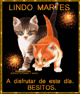 Feliz martes bendiciones