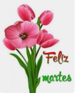 Feliz Martes Bendiciones Para Descargar Gratis