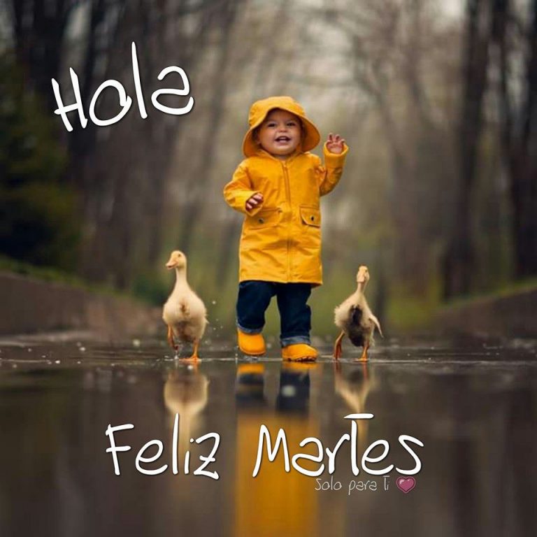 Feliz Martes Buenos Dias para celular