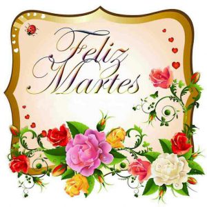 Feliz martes buenos días para descargar gratis para celular