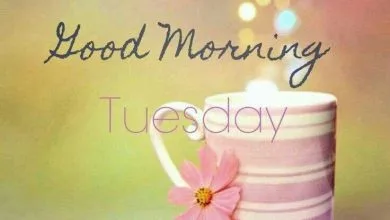 Photo of Feliz Martes Catolico Para Descargar Gratis