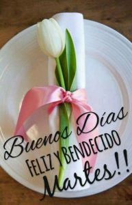 Feliz Martes Chistoso Para Descargar Gratis