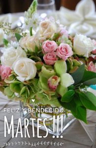 Feliz Martes Chistoso Para Whatsapp Gratis