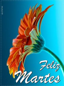 Feliz Martes Con Dios Para Descargar Gratis para celular