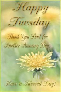 Feliz Martes Con Dios para celular