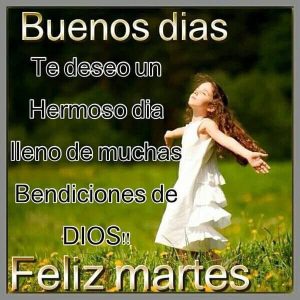 Feliz Martes Con Flores Hermosas