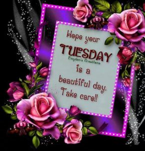 Feliz Martes Con Flores Hermosas Para Whatsapp Gratis para celular