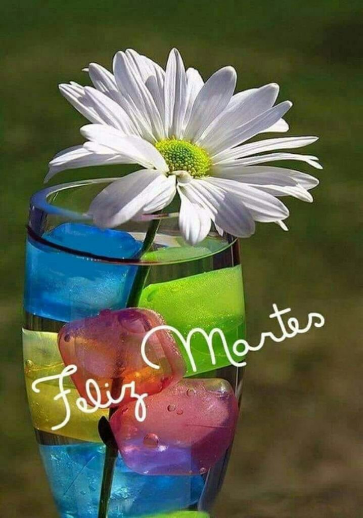 Feliz Martes Con Flores para celular – Imágenes de bonitas para ...