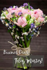 Feliz Martes Con Movimiento