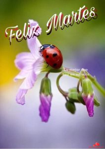 Feliz Martes Cristiano Para Descargar Gratis