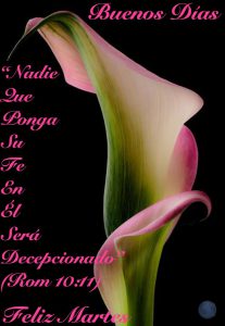 Feliz Martes De Amor para celular