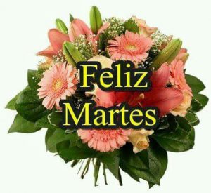 Feliz Martes De Diciembre