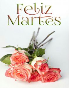 Feliz Martes De Diciembre Para Descargar Gratis para celular