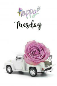 Feliz Martes Dios Los Bendiga para celular