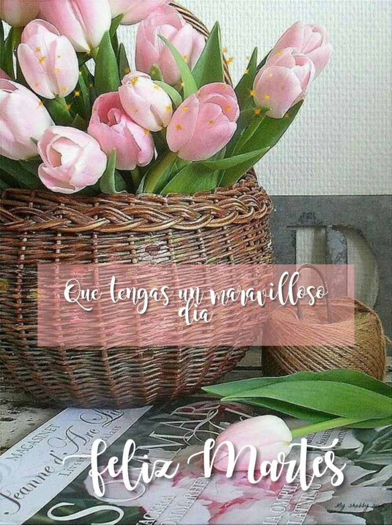 Feliz Martes Divertido Para Whatsapp Gratis