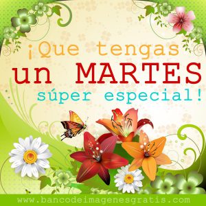 Feliz Martes Familia Para Descargar Gratis