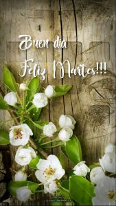 Feliz Martes Familia Y Amigos Para Descargar Gratis