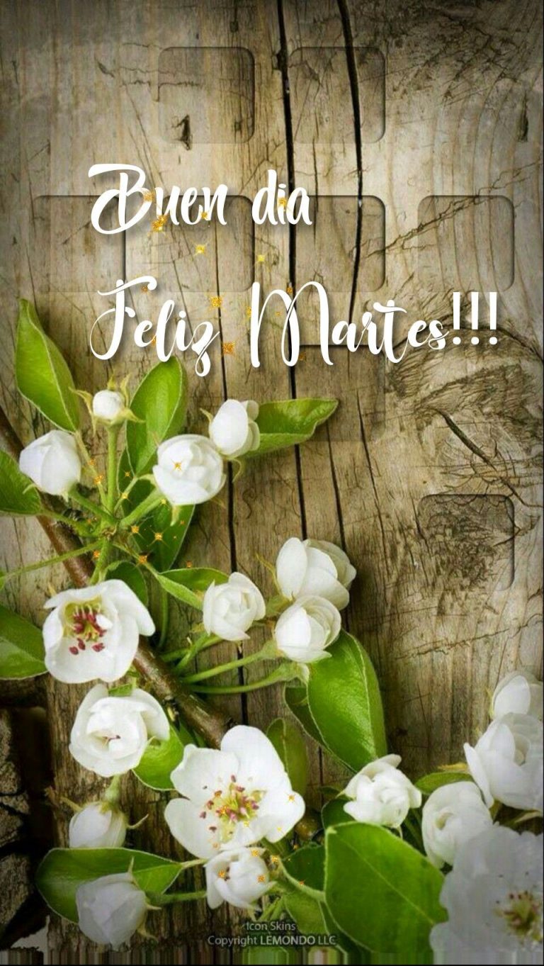 Feliz Martes Familia Y Amigos Para Descargar Gratis