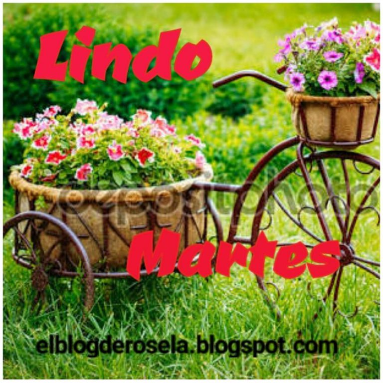 Feliz Martes Familia Y Amigos Para Whatsapp Gratis para celular