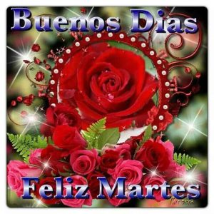 Feliz Martes Familia para celular