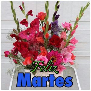 Feliz Martes Frases Bonitas Para Descargar Gratis para celular