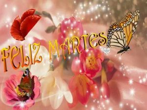 Feliz Martes Frases Cristianas Para Descargar Gratis para celular